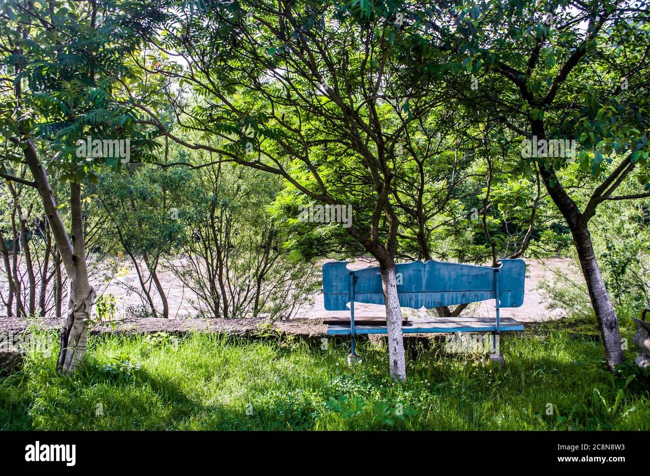 Blaue romantische Bank am Fluss zwischen den Bäumen. Entspannen Sie sich bei natürlichen Fotos. Stockfoto