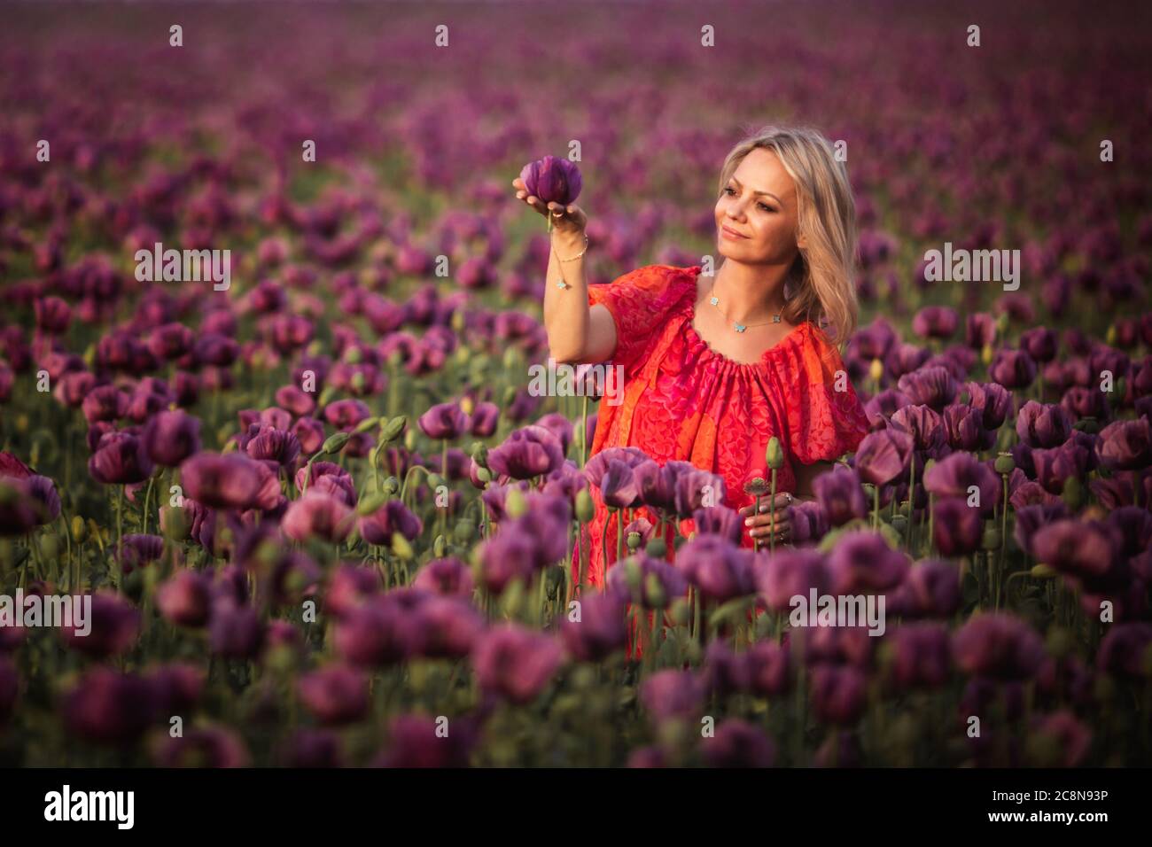 Schöne glückliche Frau mit langen Haaren in roten Kleid einsam zu Fuß in der Lilac Poppy Flowers Feld Stockfoto