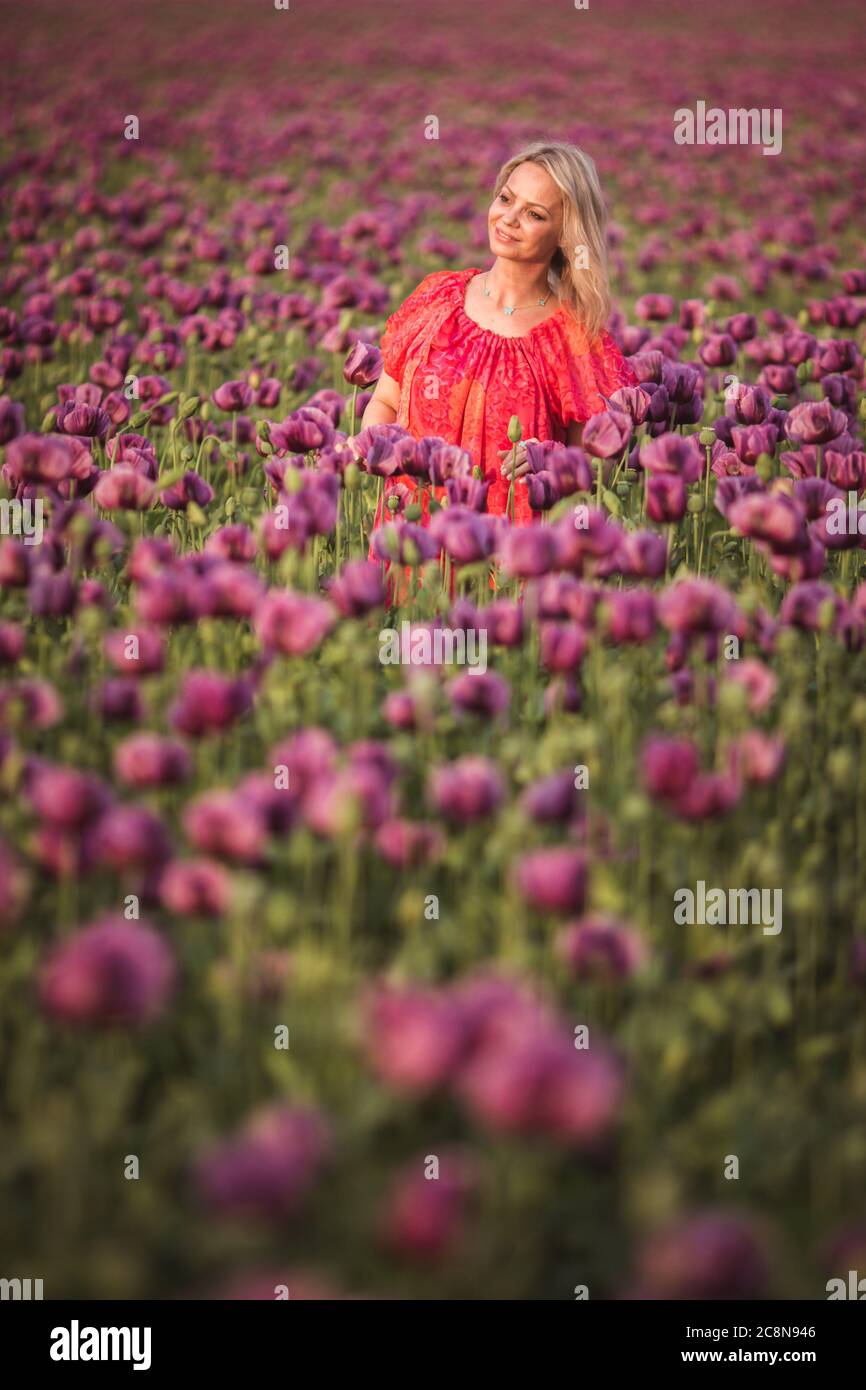 Schöne glückliche Frau mit langen Haaren in roten Kleid einsam zu Fuß in der Lilac Poppy Flowers Feld Stockfoto