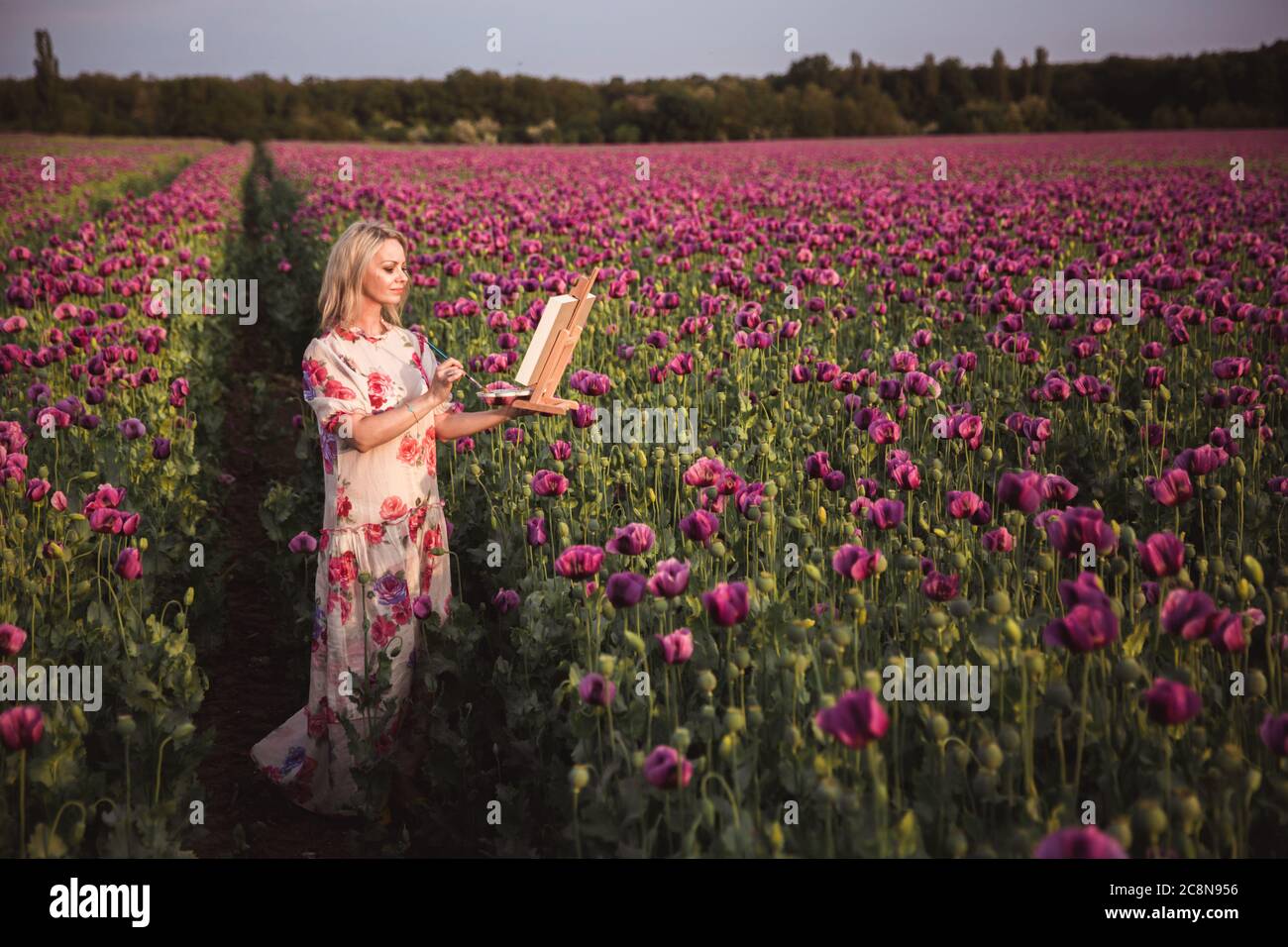 Schöne glückliche Frau mit langen Haaren in weißen Kleid Malerei in der Lilac Poppy Flowers Feld Stockfoto