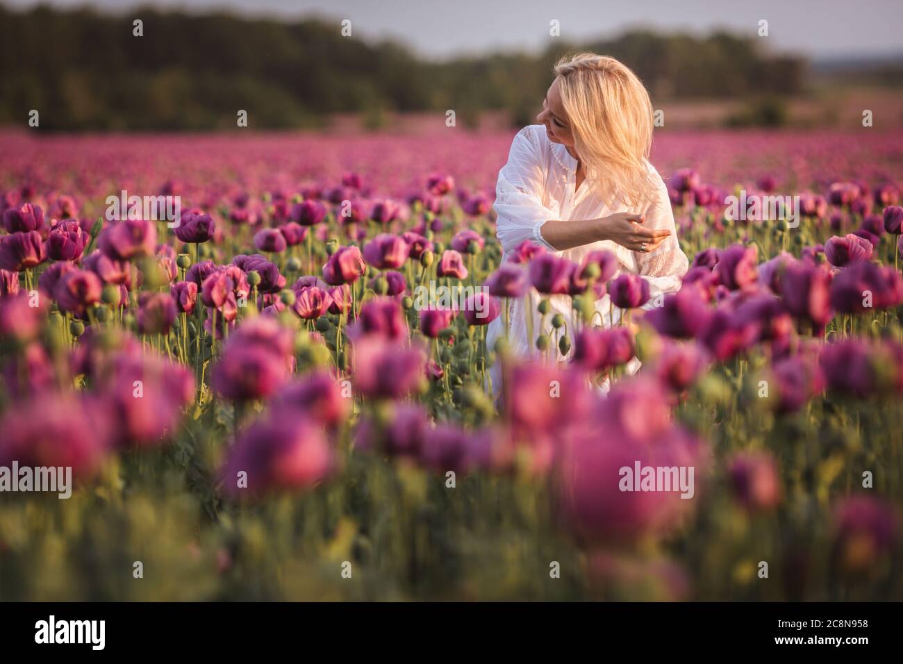 Schöne glückliche Frau mit langen Haaren in weißem Kleid einsam zu Fuß in der Lilac Poppy Flowers Feld Stockfoto