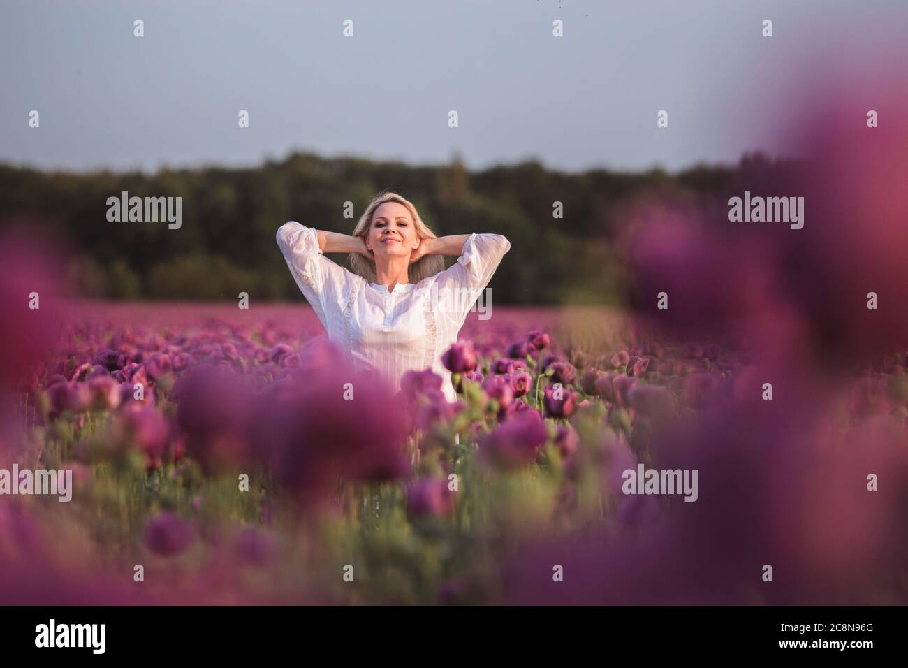 Schöne glückliche Frau mit langen Haaren in weißem Kleid einsam zu Fuß in der Lilac Poppy Flowers Feld Stockfoto