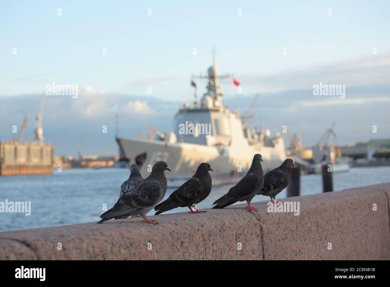 Schwarze Tauben gegen Lenkraketen-Zerstörer Xi'an der Marine Surface Force der chinesischen Volksbefreiungsarmee in Sankt Petersburg, Russland Stockfoto Schwarze Tauben gegen Lenkraketen-Zerstörer Xi'an der Marine Surface Force der chinesischen Volksbefreiungsarmee in Sankt Petersburg, Russland Stockfoto
