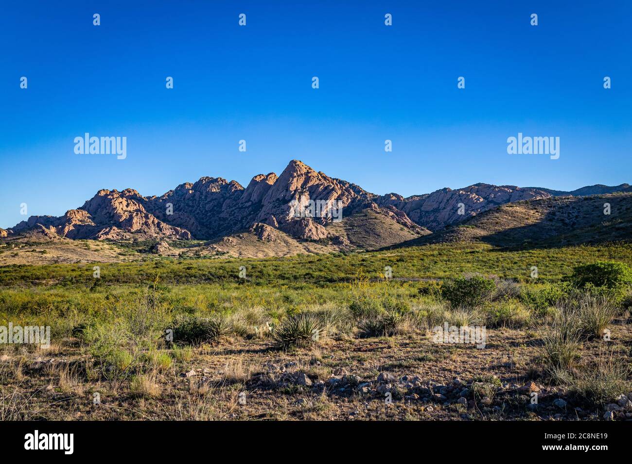 Die Dragoon Mountains sind ein Gebirgszug in Cochise County, Arizona in der Nähe der historischen Stadt Tombstone. Stockfoto