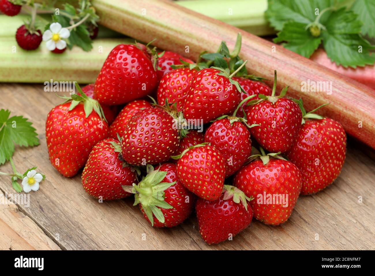 Frische Erdbeeren und Rhabarber auf Holztisch Stockfoto