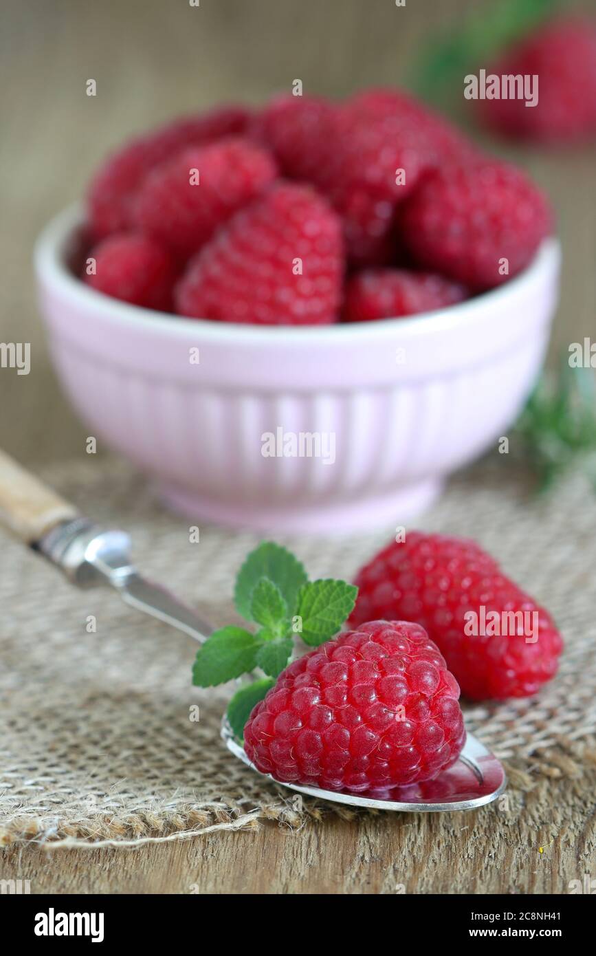 Frische Erdbeeren auf dem Löffel und in der Schüssel Stockfoto