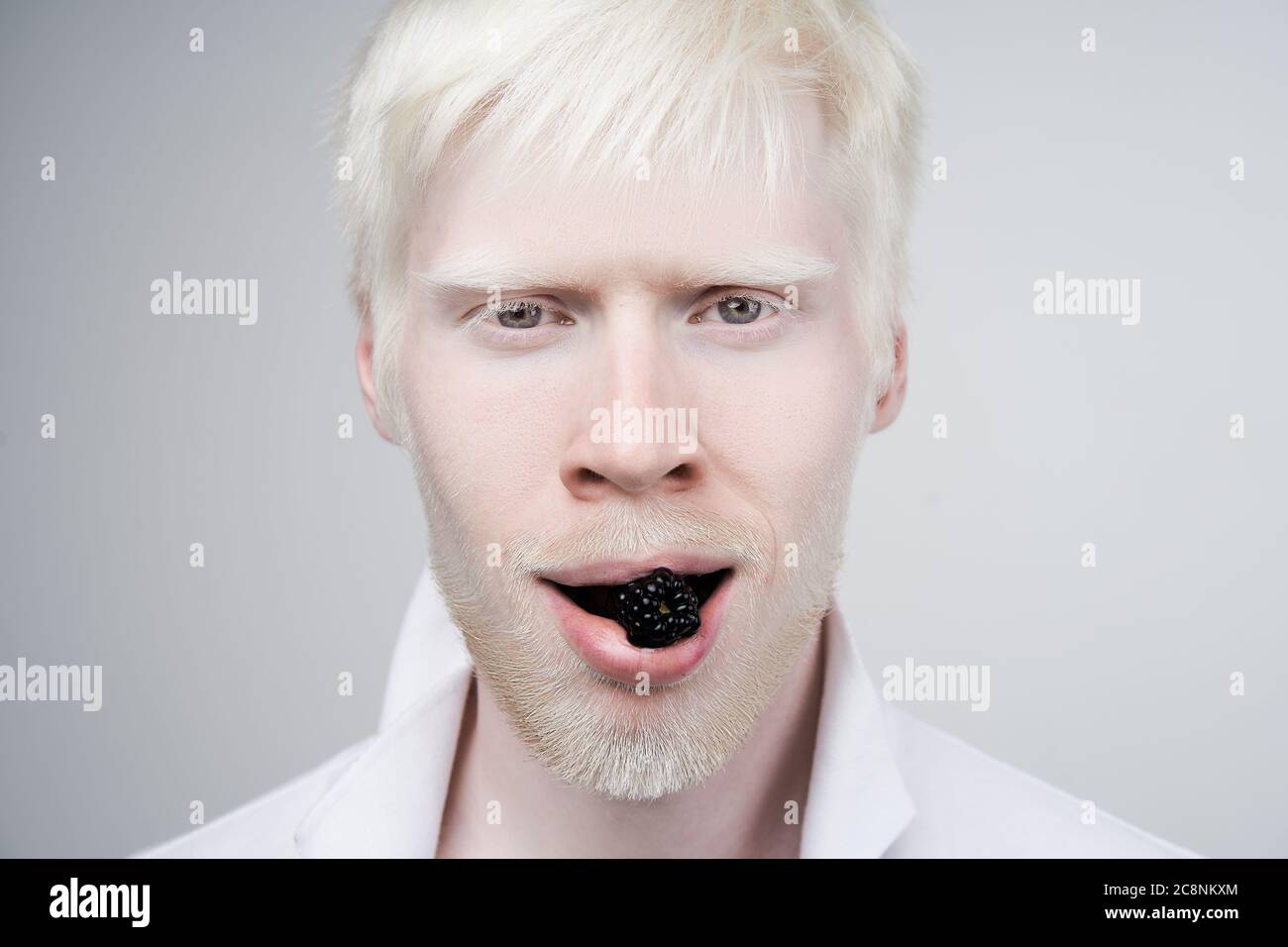 Albinismus glücklich Albino Mann weiße Haut Haar Studio gekleidet T-Shirt isoliert weißen Hintergrund. Abnorme Abweichungen. Ungewöhnliches Aussehen Anomalie. Essen Brombeerfrucht Mund Stockfoto