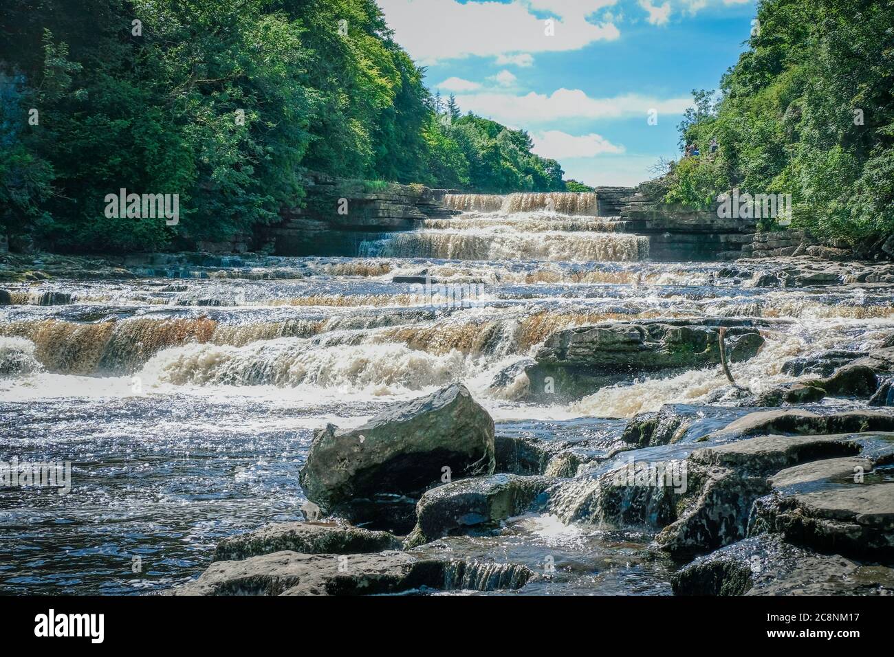 Aysgarth Falls, Leyburn, North Yorkshire, Großbritannien Stockfoto