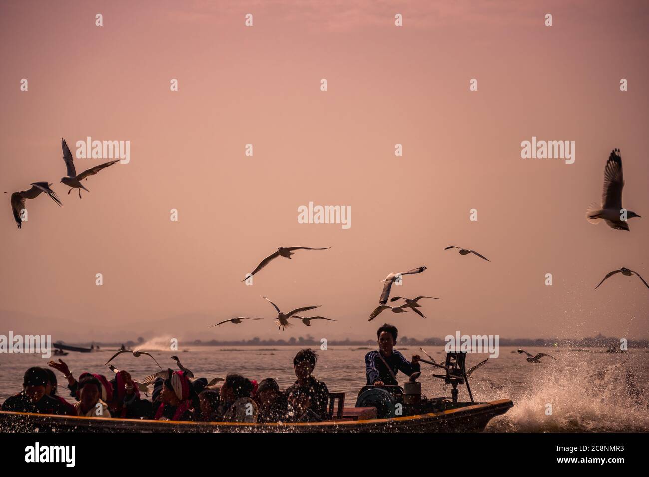 Inle Lake, Myanmar - Februar 2020: Möwenschar folgt Langschwanzboot, Inle Lake. Idyllische Szene, schnelllebige Boot mit Wasser sprühen, Passagier s Stockfoto