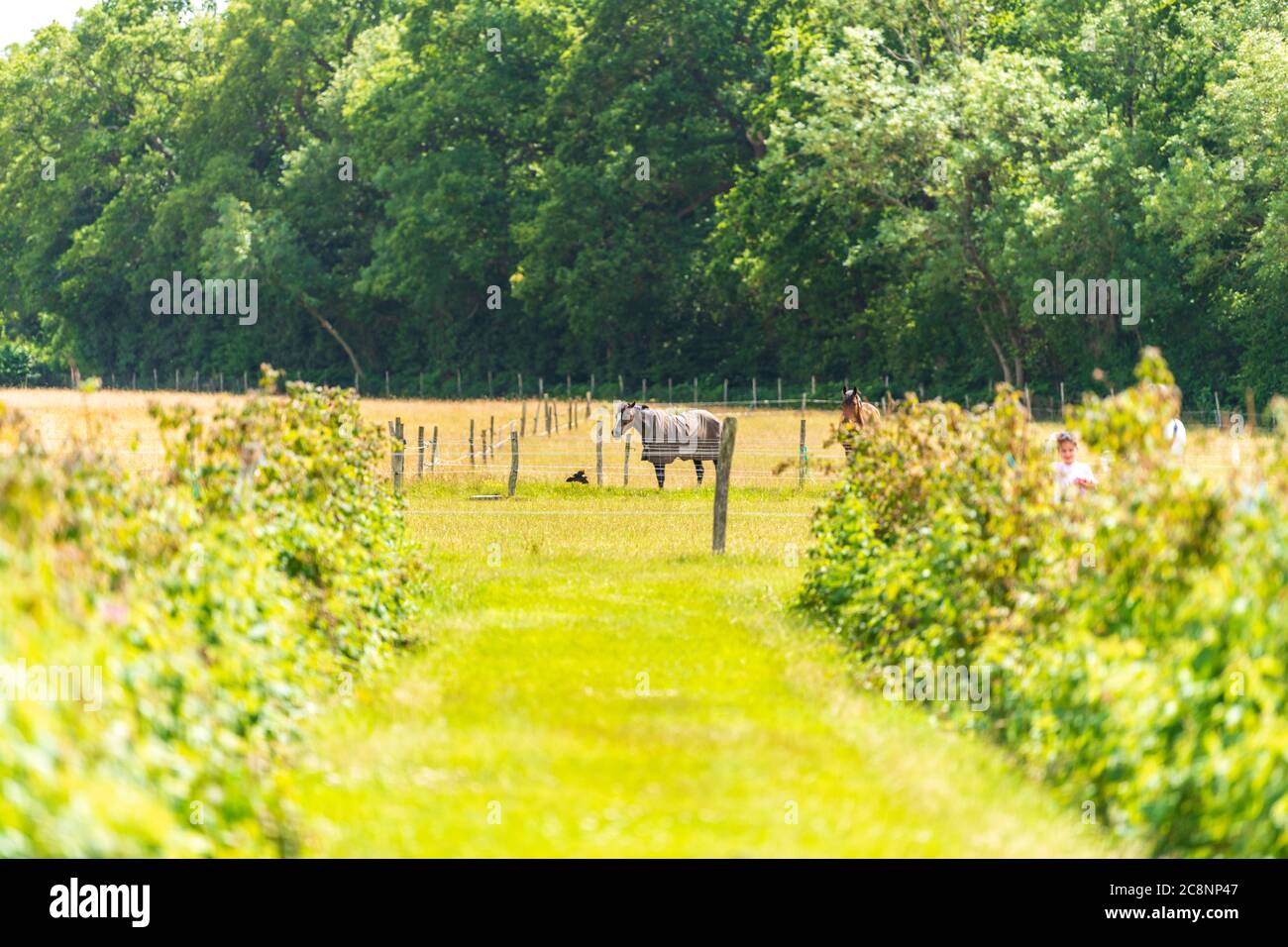 Englische Landschaftsansicht von Sevenoaks, Kent, UK Stockfoto