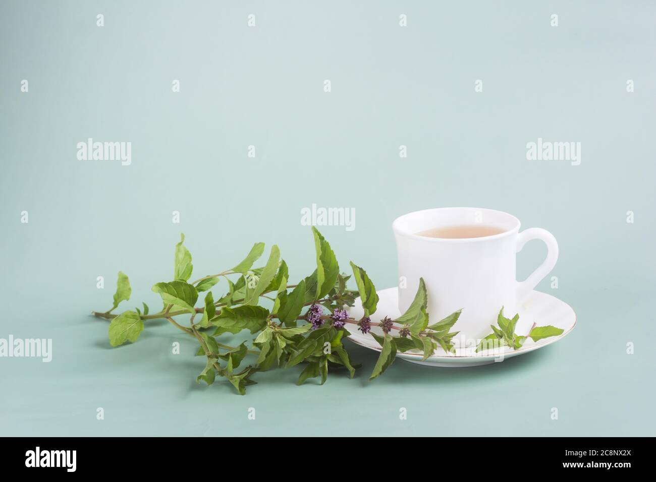Eine weiße Tasse Tee mit einem Zweig mit Minze steht auf dem Tisch auf einem grau-grünen Hintergrund, Morgentee Stockfoto