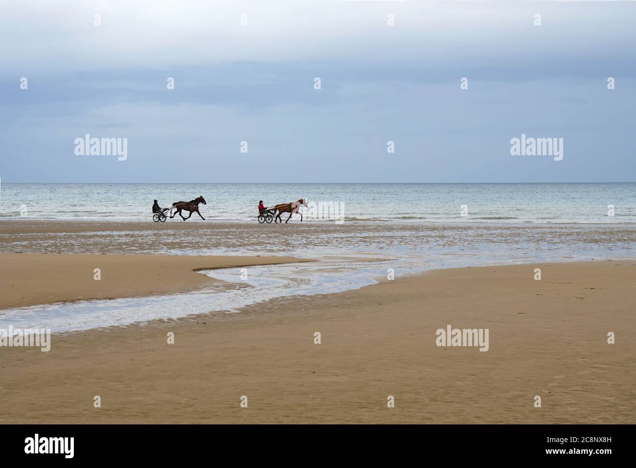 Pferde mit Barouche am Strand in Cabourg, Frankreich Stockfoto