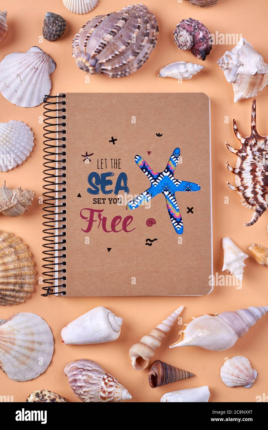 Notizblock und viele Muscheln flach liegen. Stockfoto