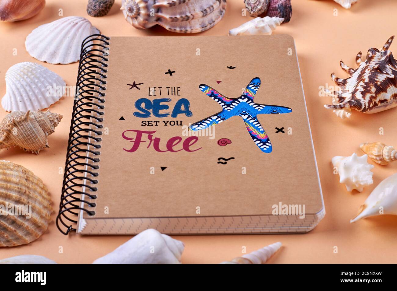 Nahaufnahme Notizblock mit Muscheln. Stockfoto