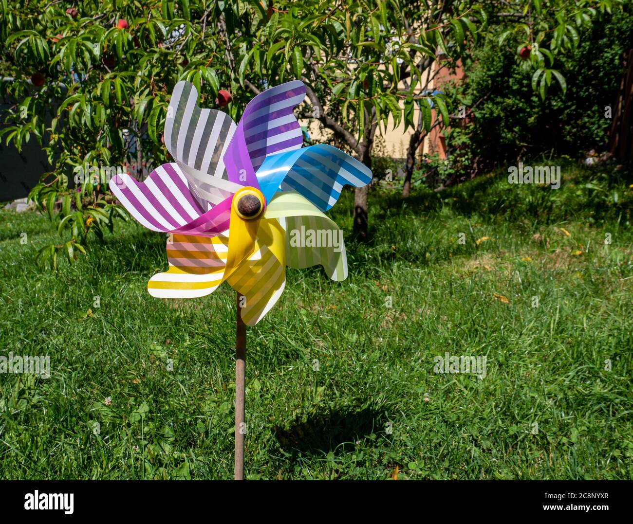 Farbe Windrad im Gras Stockfoto