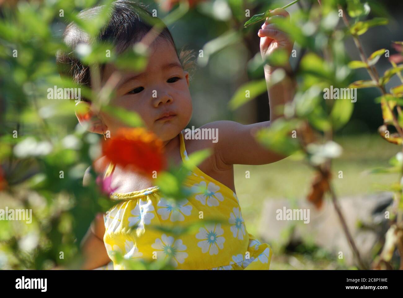 Porträt eines Mädchens in einem Garten, Indonesien Stockfoto