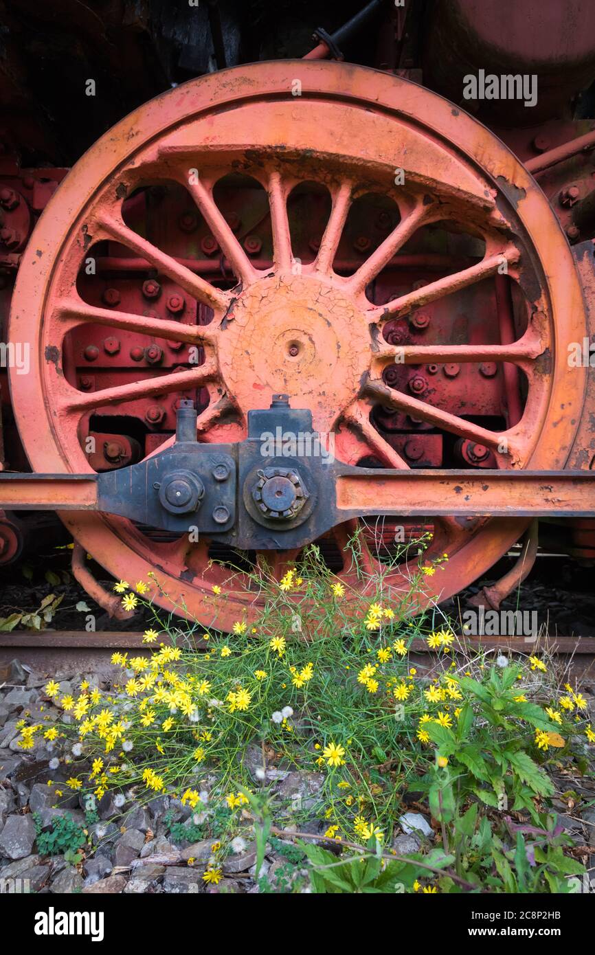 Verlassene Züge und Waggons in Dahlhausen, Deutschland Stockfoto