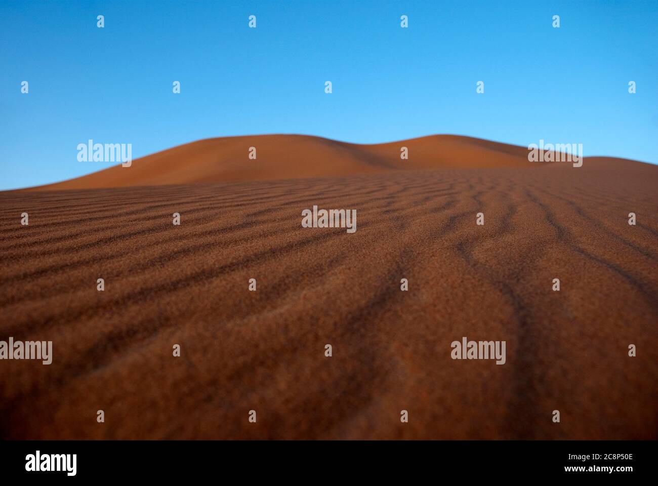 Desert erg chebbi bei Sonnenuntergang Stockfoto