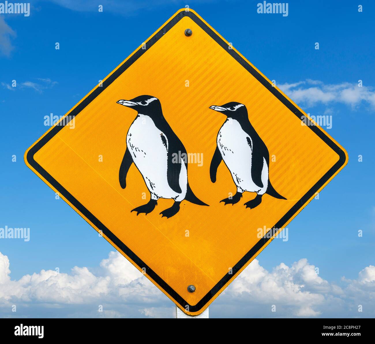 Pinguin-Kreuzungsschild in Oamaru, Otago, Neuseeland Stockfoto