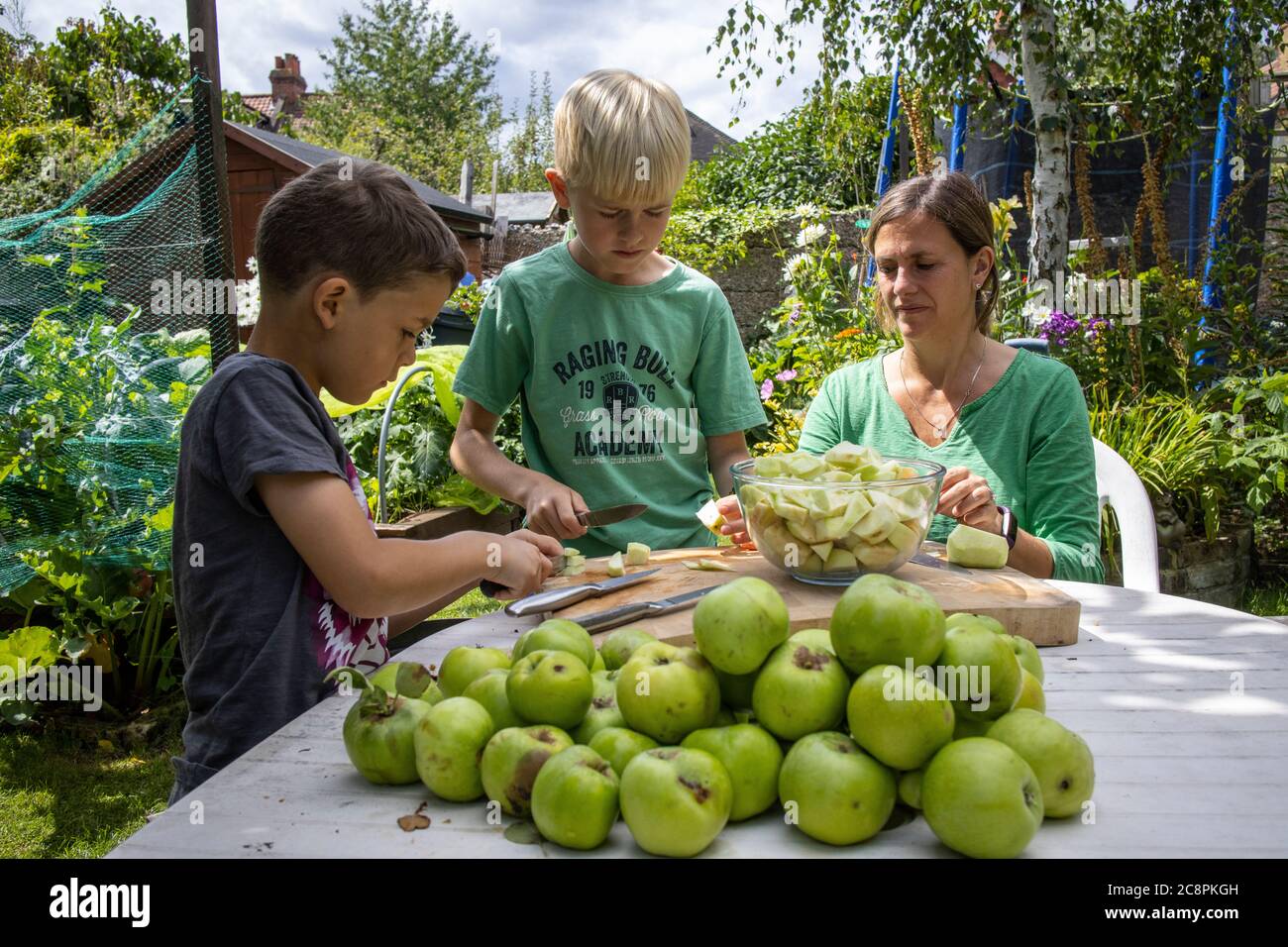 Familie bereitet selbst angebaute Bio-Kochäpfel in ihrem Garten, England, Großbritannien Stockfoto