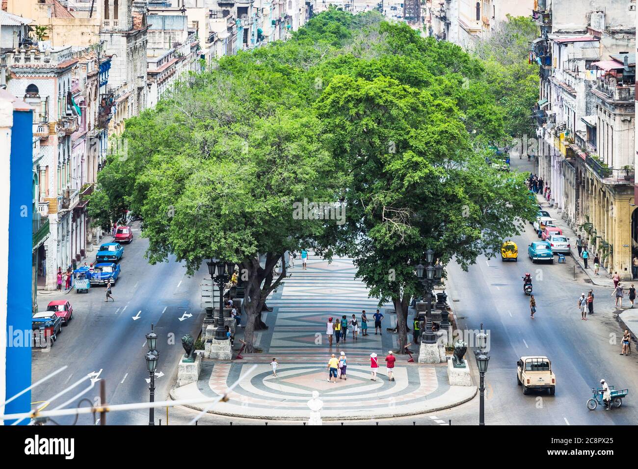 Havanna / Kuba - 04.15.2015: Der Central Park (Parque centrale) mit Bäumen auf beiden Seiten, von oben aufgenommen Stockfoto