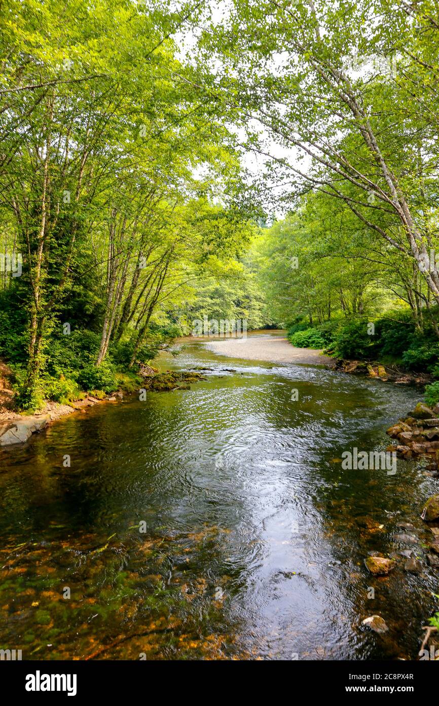 Ruhiger Fluss in der Nähe von Ketchikan, Alaska, der Lachshauptstadt der Welt. USA Stockfoto