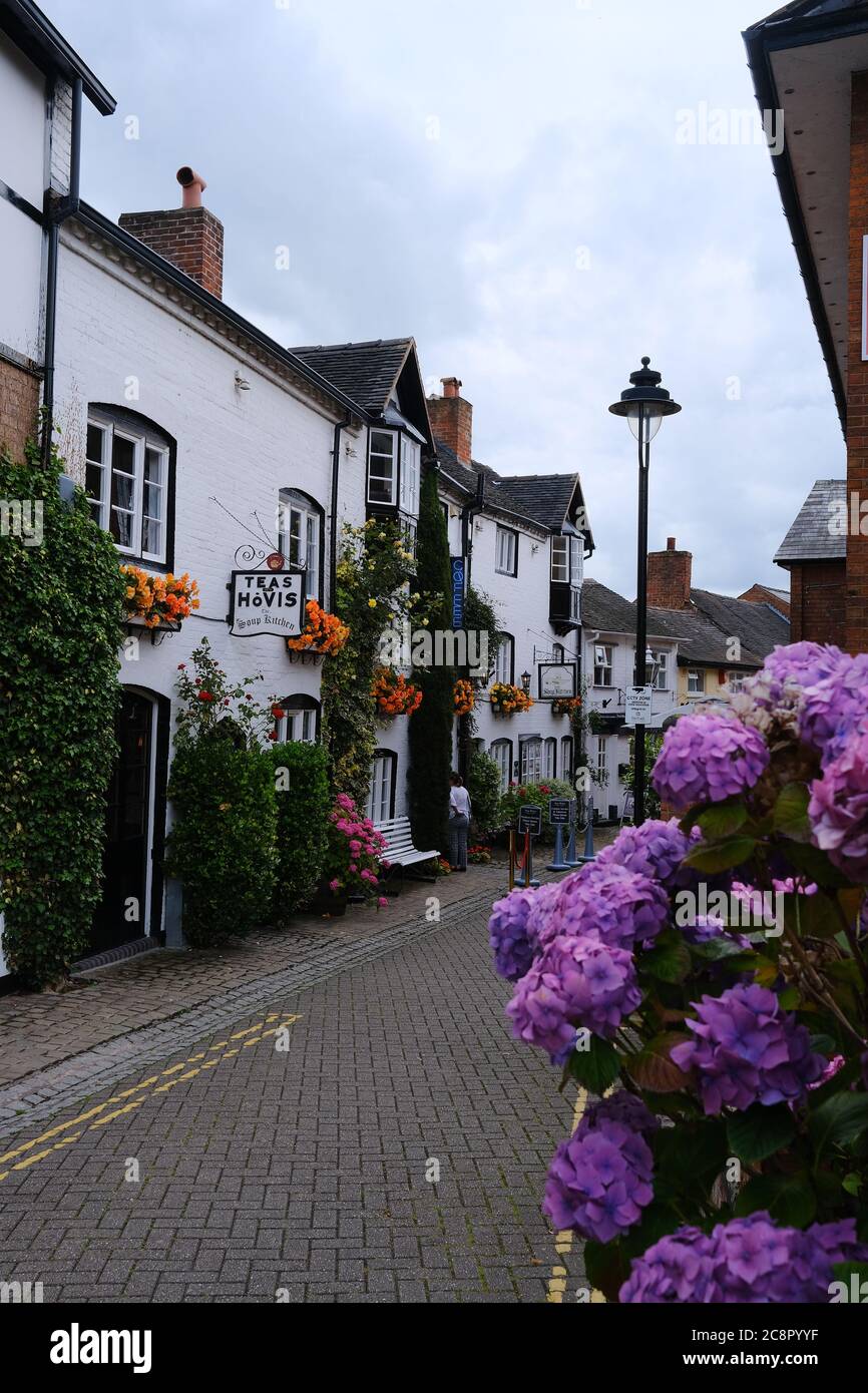 Malerische Stafford Street mit Pub und Teestube umgeben von Blumen. Keine Personen. Stockfoto