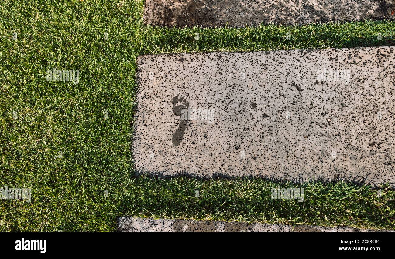 Nasser Fußabdruck eines menschlichen Fußes auf einem Steinpfad, umgeben von grünem Gras. Stockfoto