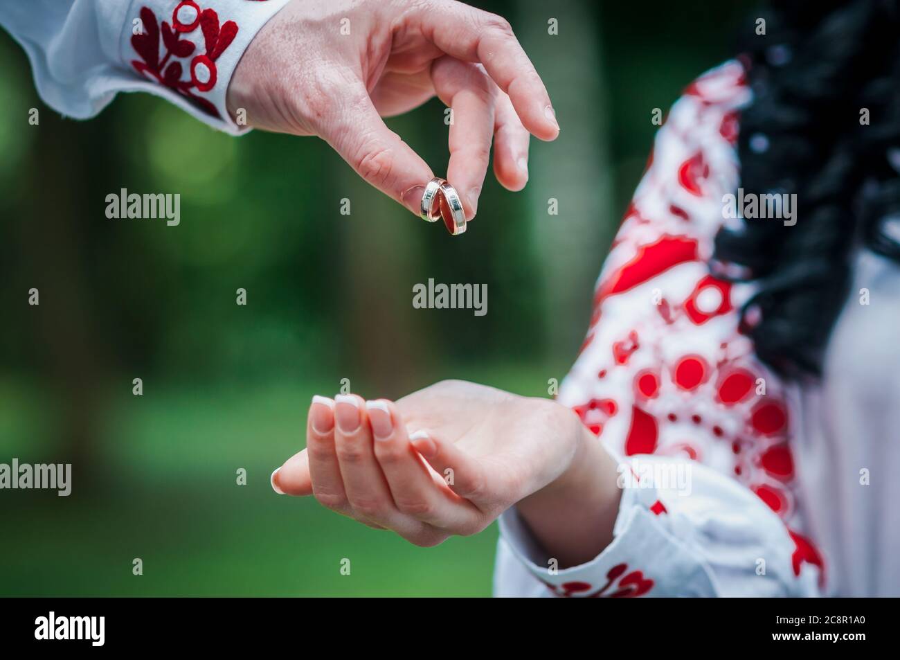 Der Bräutigam hält die Trauringe über die Hand der Braut Stockfoto