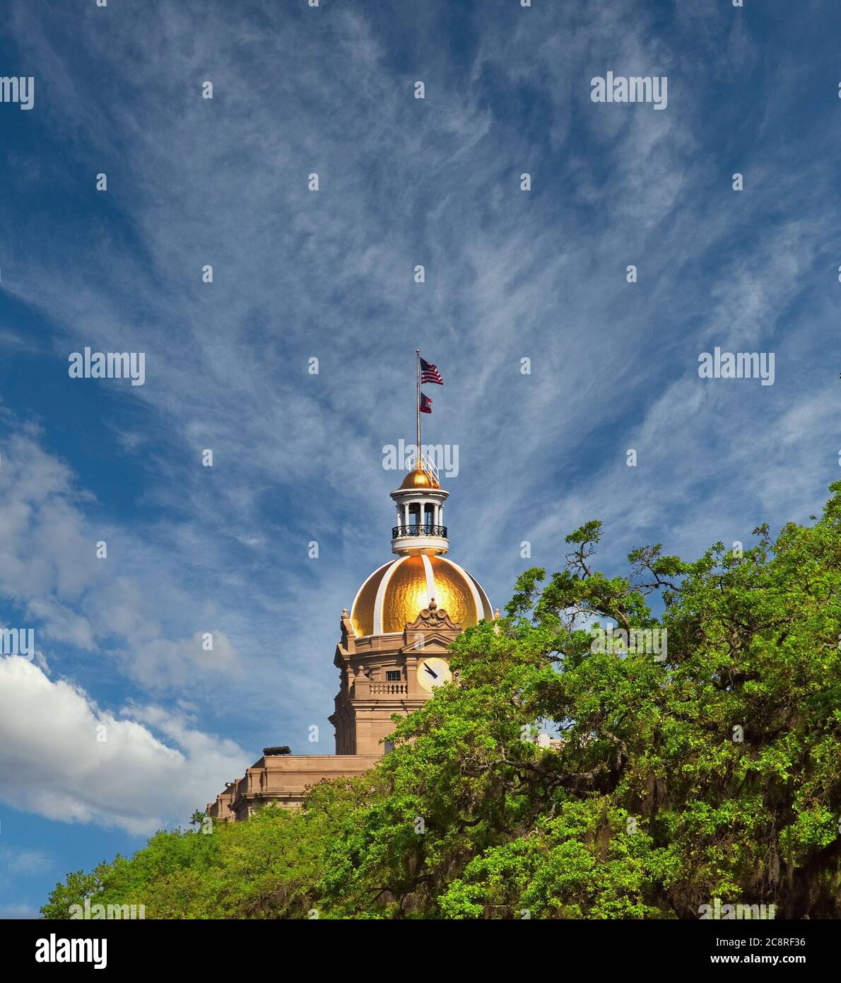 Savannah Rathaus Dom und Flagge Stockfoto