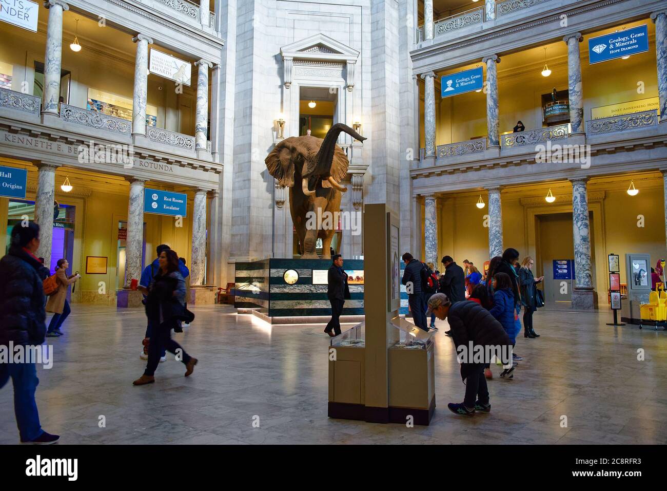 Besucher im Smithsonian National Museum of Natural History, Washington, D.C. Stockfoto