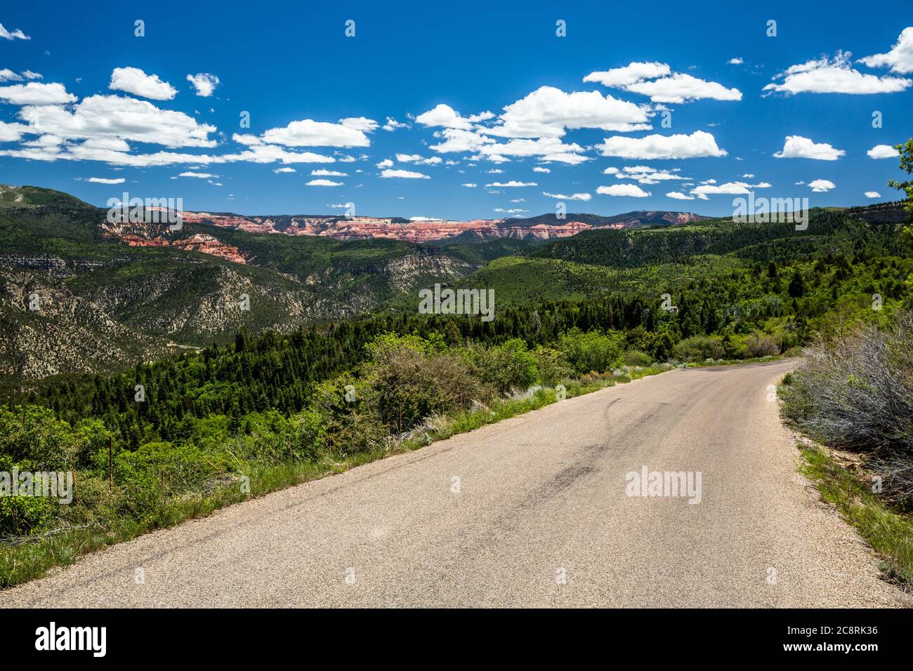 Kleine Straße, die durch grüne Hügel zu den roten Felsen des Cedar Breaks National Monument im Süden Utahs führt. Stockfoto