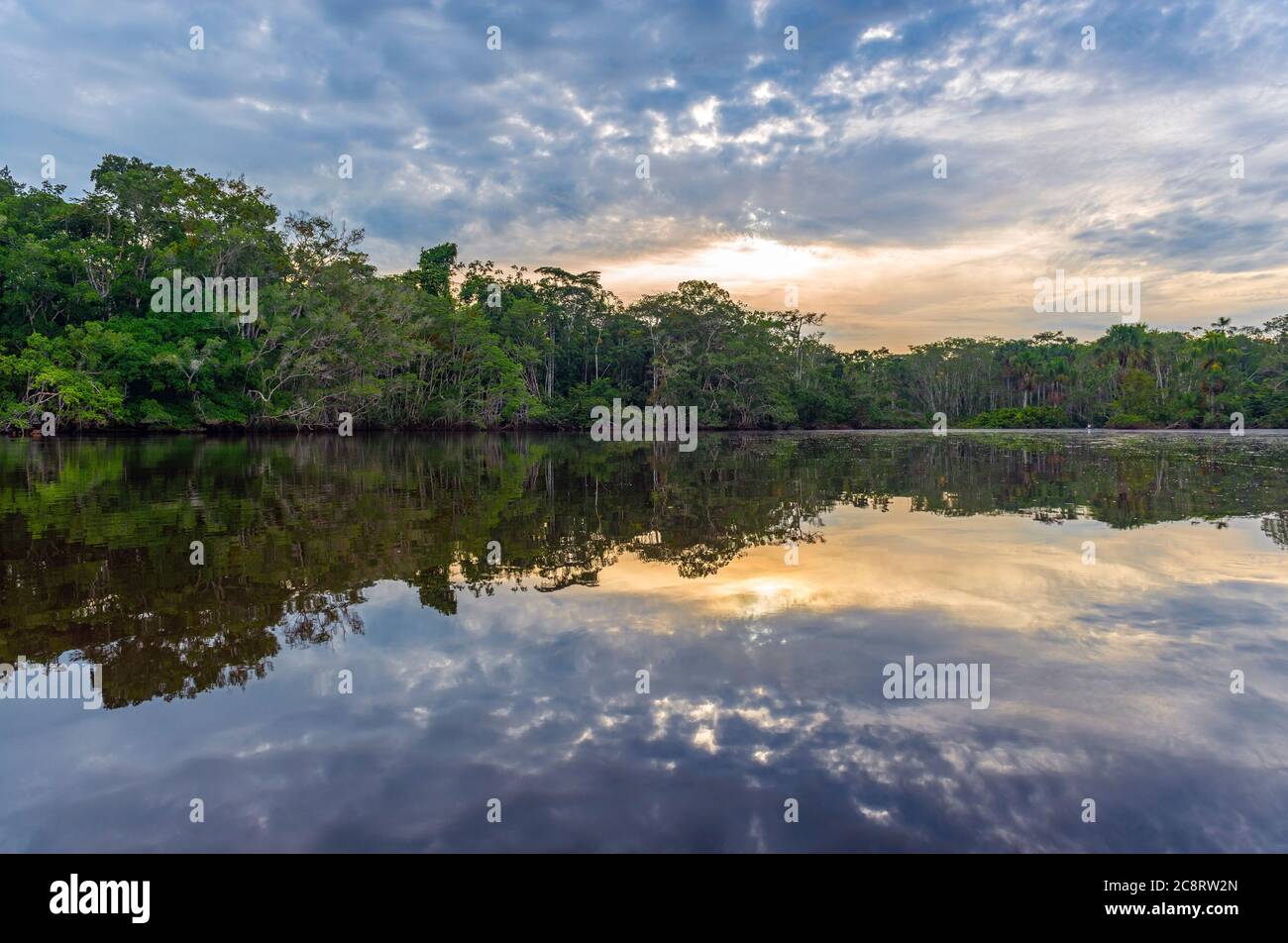 Amazonas Regenwald Sonnenuntergang Reflexion, das Amazonas-Flussbecken in Brasilien, Bolivien, Peru, Ecuador, Bolivien, Kolumbien, Venezuela, Guyana, Suriname gefunden. Stockfoto