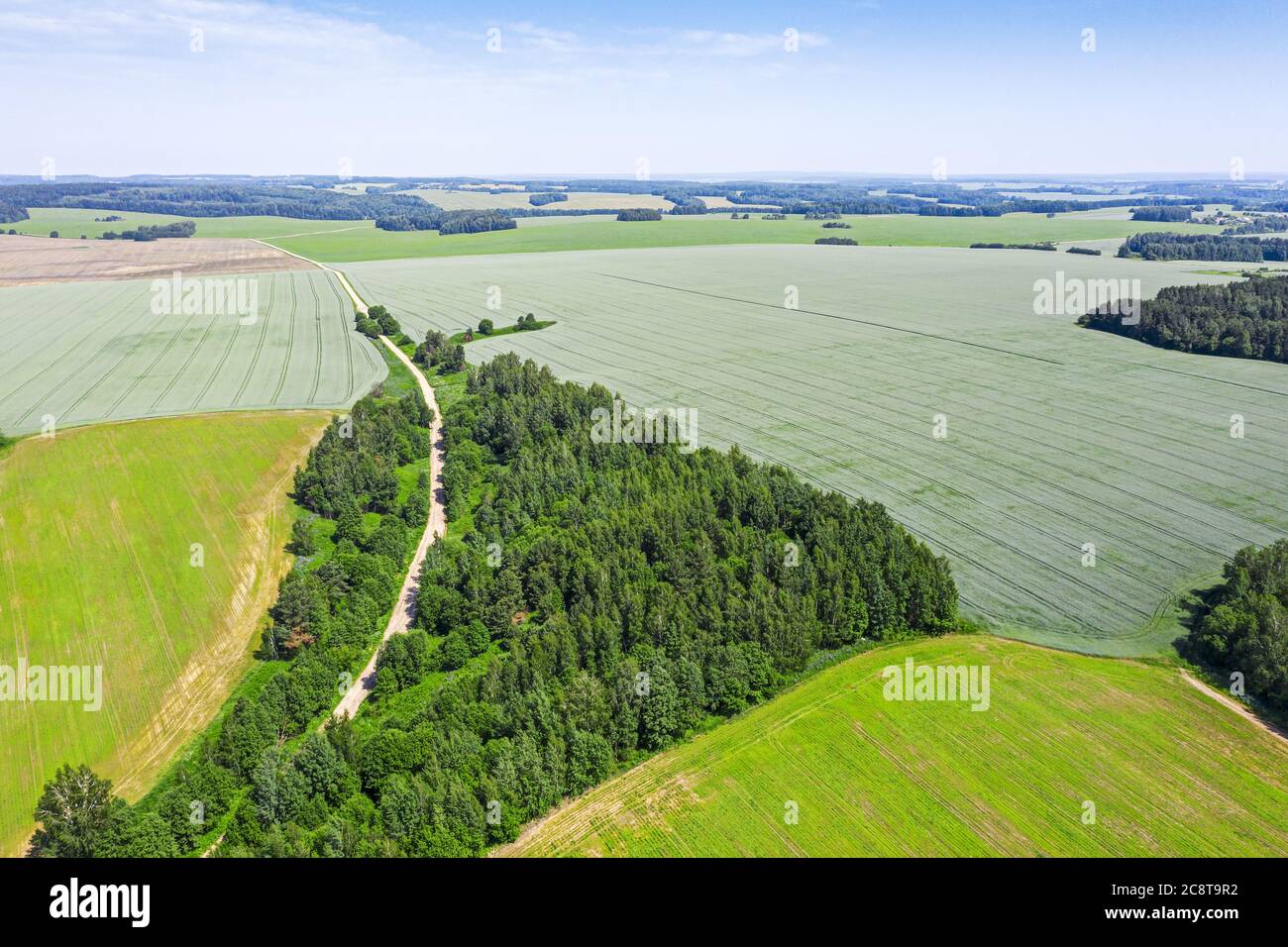 Vögel Augen Blick auf ländlichen Feldweg durch Sommer grünen Feldern in der Landschaft Stockfoto