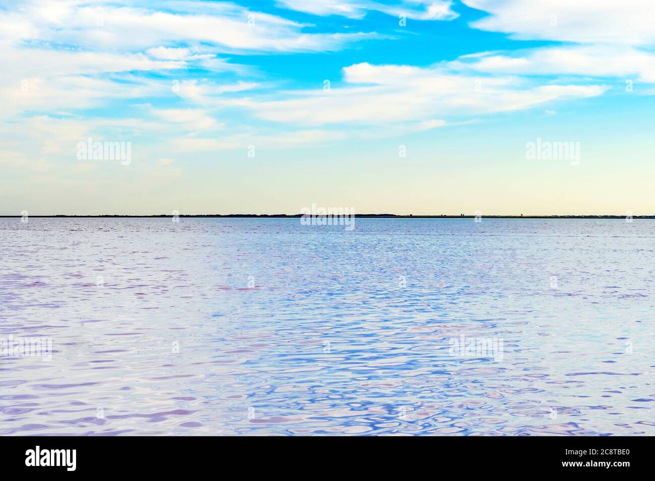 Der rosa See. Reines Wasser. Salz am Boden. Pink Lake. Crimson Lake. Burlin Lake. Bursol“. Slavgorod. Attraktion jarowoje. Altai-Region Stockfoto