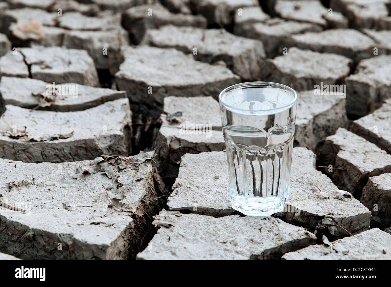 Ein transparentes Glas sauberes Trinkwasser steht inmitten von trockenem, rissem Wüstenland. Konzept der globalen Erwärmung. Dürre und Wasserkrise Stockfoto