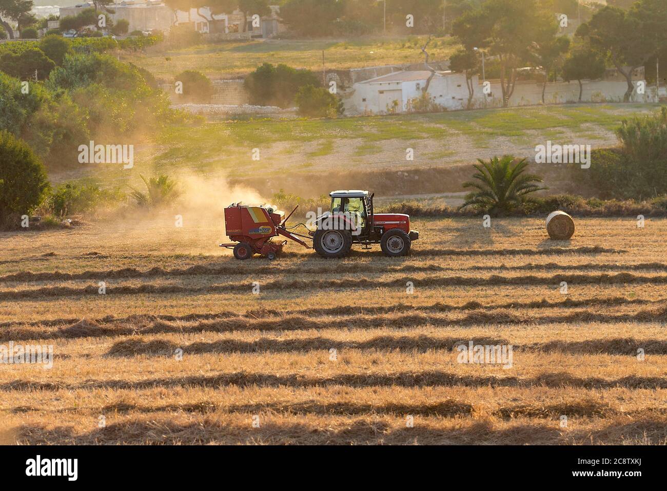 MDINA, MALTA - Jul 16, 2020: Roter Traktor Ernte Stroh, Ziehen eines Bailers in trockenen staubigen Feld mit hinterleuchteten Staubwolke in den frühen Morgen, um s zu vermeiden Stockfoto