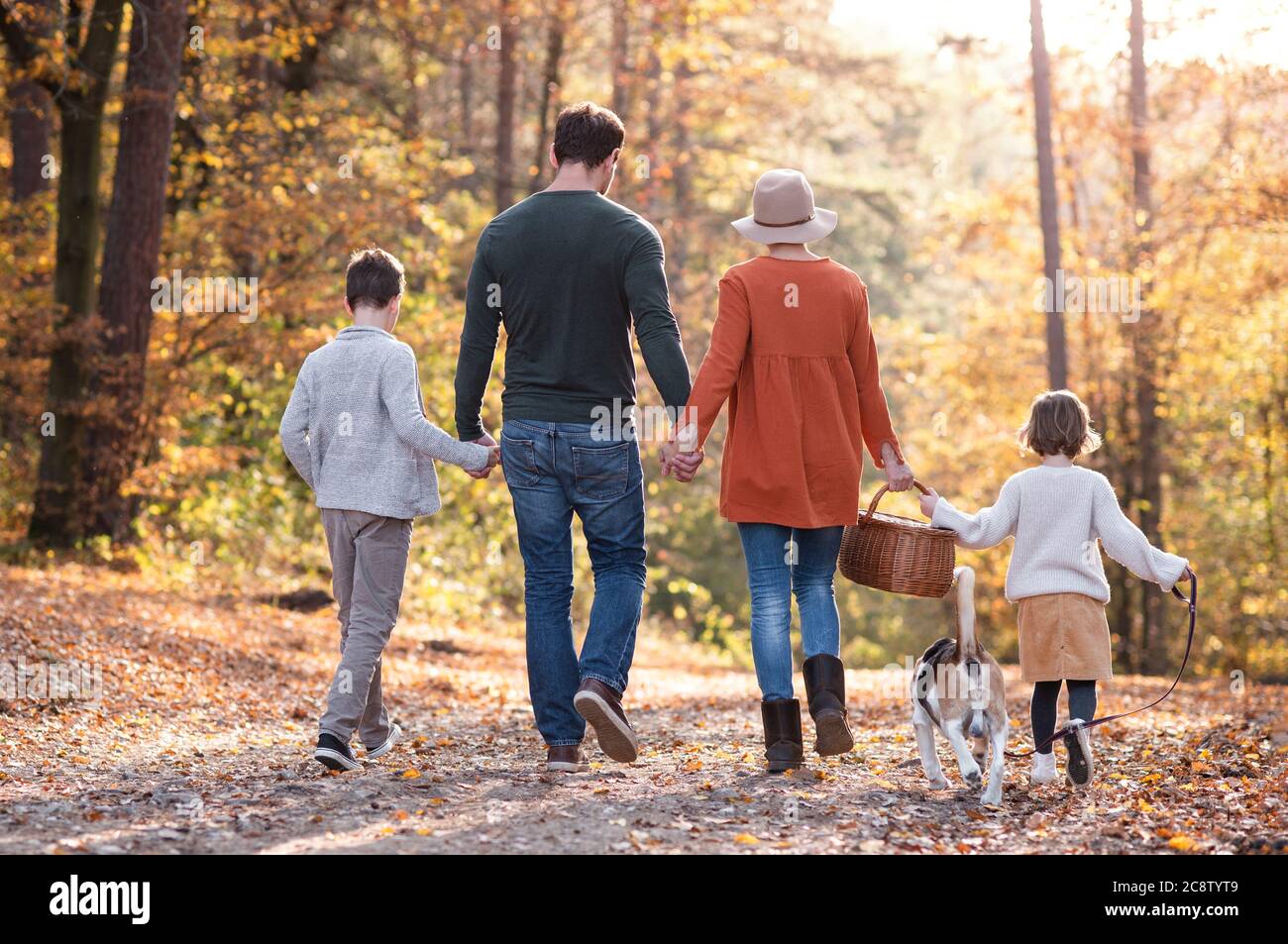 Rückansicht der jungen Familie mit kleinen Kindern und Hund auf einem Spaziergang im Herbstwald. Stockfoto