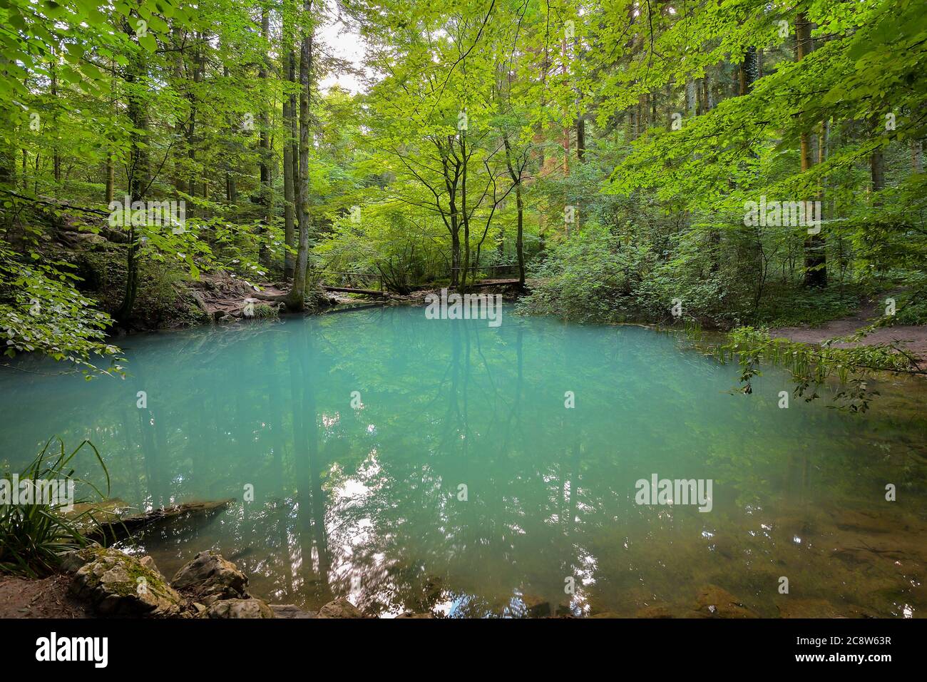 Ochiul Beiului, ein kleiner smaragdgrüner See an der Nera-Schlucht im Beusnita-Nationalpark in Rumänien Stockfoto