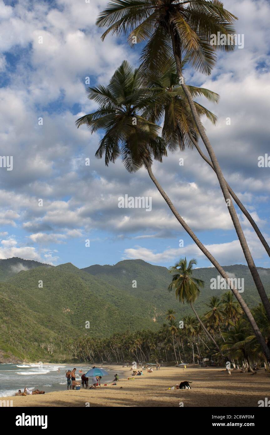 Choroni Strand im Bundesstaat Falcon in Venezuela - Henri Pittier Nationalpark, in Venezuela. Es stellt ein großes touristisches Interesse dar, indem es einer der Ausgangspunkte in Richtung zu den Inseln des Morrocoy Nationalparks, zusammen mit Tucacas ist. Dort können Sie die „Peñeros“ (Fischerboote) mieten, um die nächsten Inseln (Cayo Muerto, Cayo Peraza, Cayo Sal und Cayo Pelón) oder die am weitesten entfernten Inseln zu besuchen, die Sie auch von Tucacas aus erreichen können. Weltweit eingesetzt Stockfoto