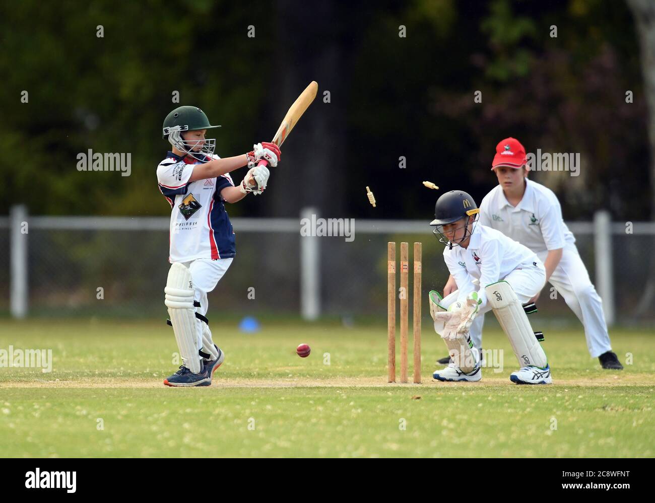 Bails fliegen über die Stumps, während ein Cricketer während eines Cricket-Spiels unter 16 Jahren in Victoria, Australien, ausgebowelt wird Stockfoto