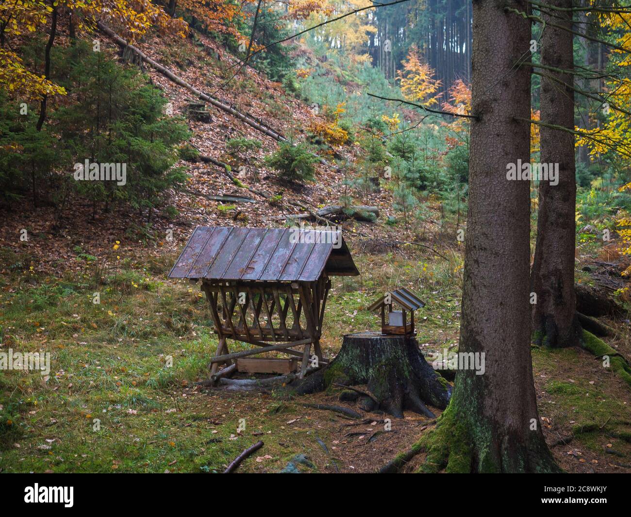 Holzfutterhäuschen oder Krippe für Wildtiere im Wald. Futtertrog mit Heu für Wildschweine, Hirsche und Vögel im Herbstwald. Stockfoto
