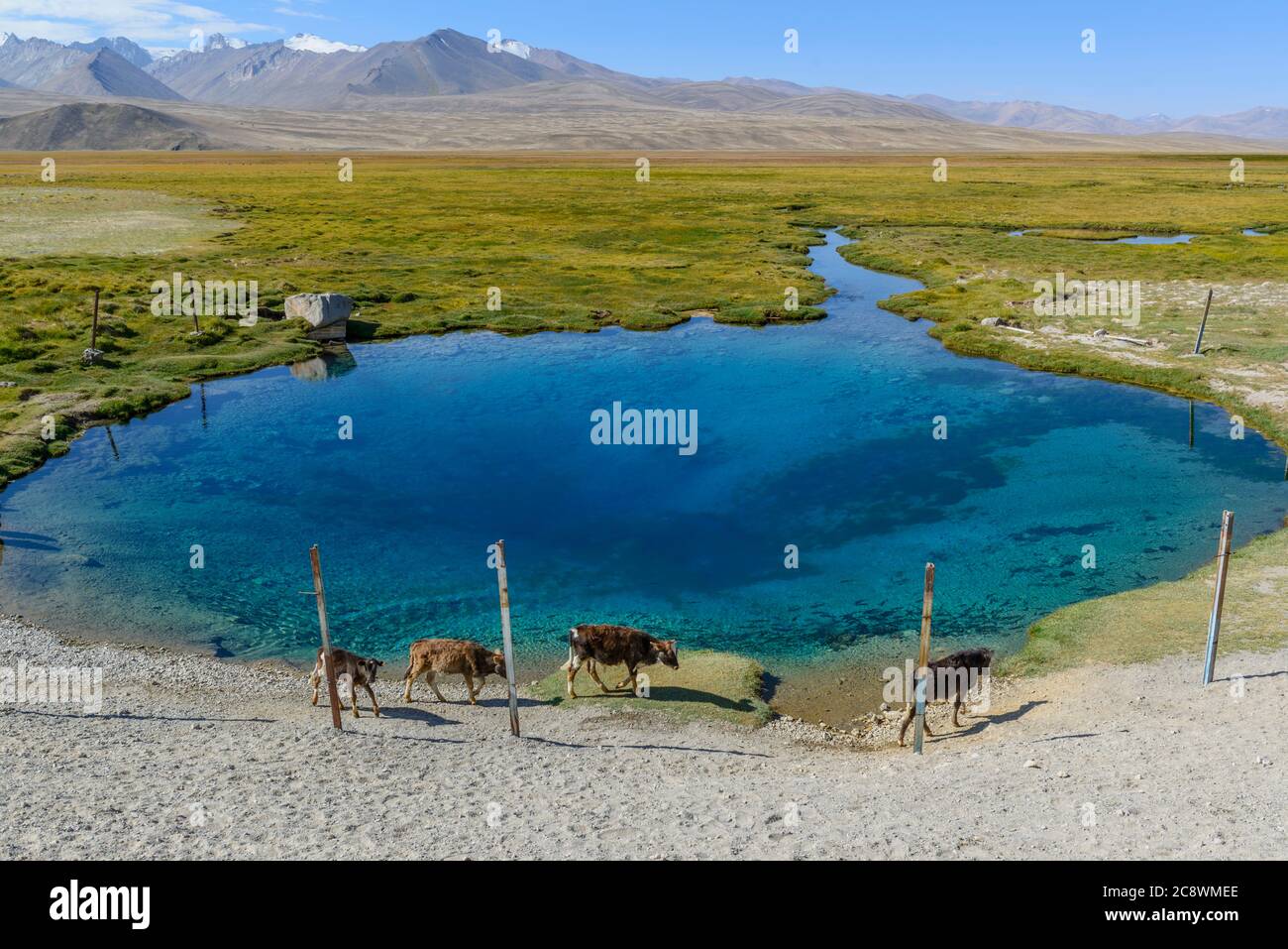 AK-Balyk Quelle entlang der Pamir Autobahn, Tadschikistan, Stockfoto