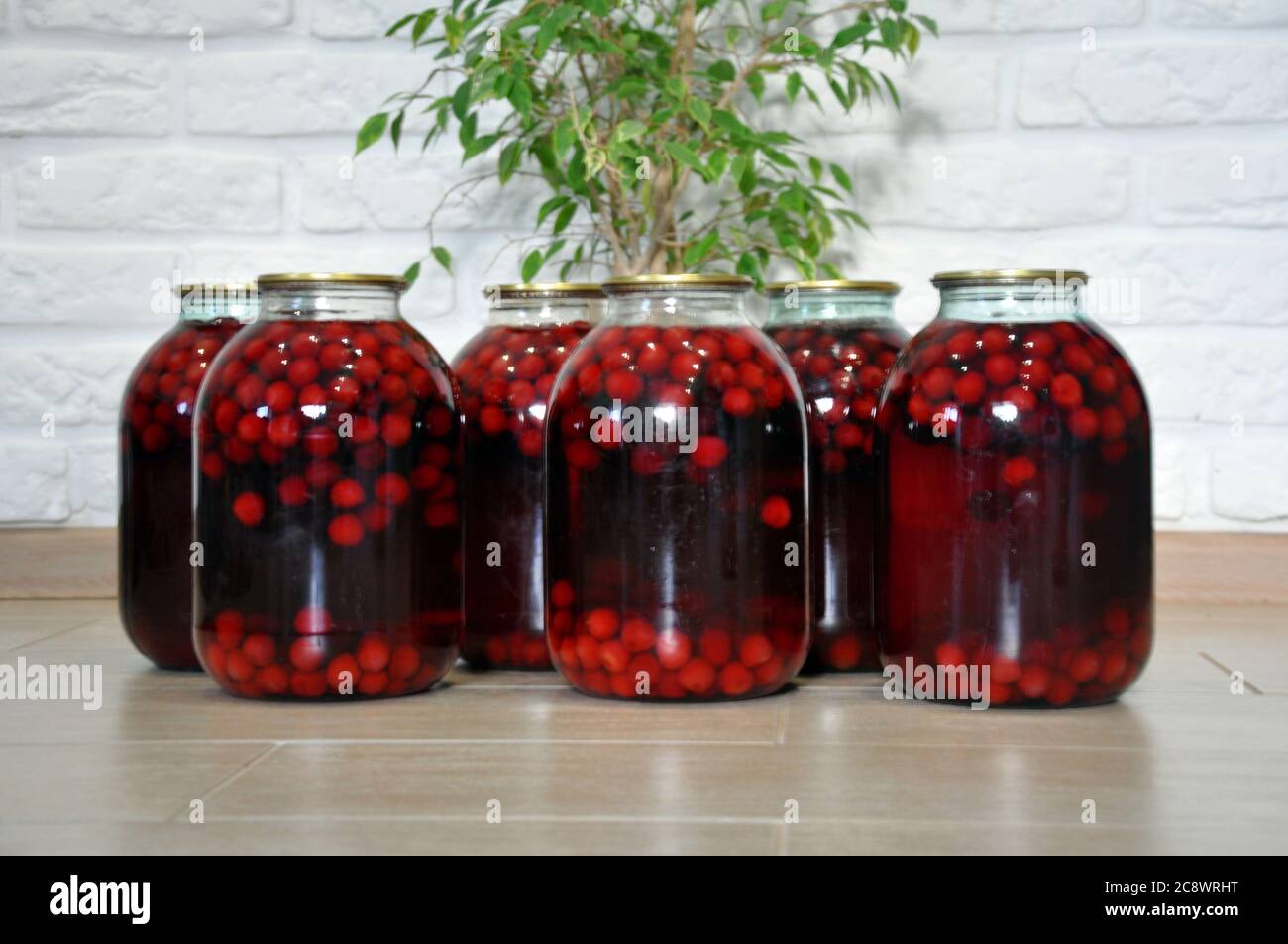 Frisches Kirschkompott aus der Dose in einem drei-Liter-Glas. Stockfoto