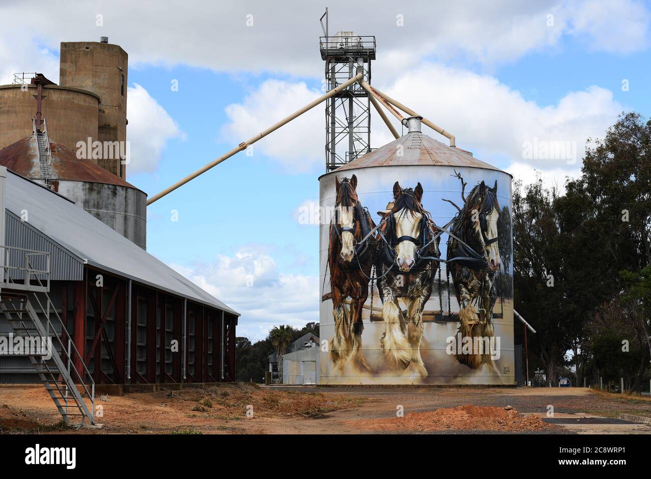 Silo Art Trail. Goorambat Australien. Jimmy DVATE's Arbeit von Shire Horses auf dem Getreidesilo der Stadt ist bei Touristen sehr beliebt. Stockfoto