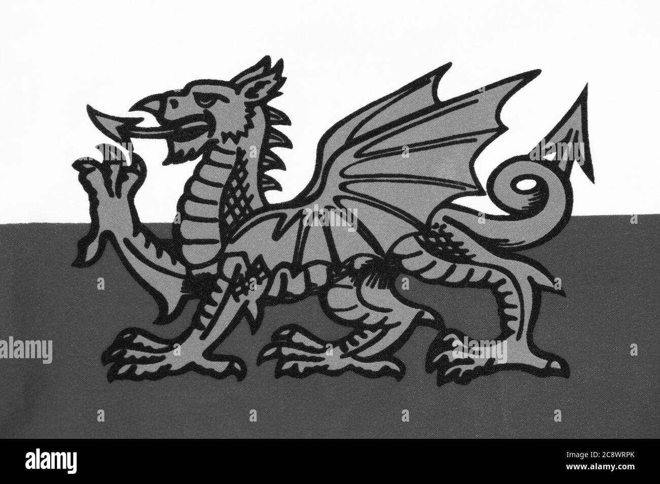 Die Nationalflagge von Wales UK bekannt als Y Ddraig Goch (der Rote Baron) zeigt den walisischen Drachen schwarz-weiß monochromes Bild Stock Foto Stockfoto