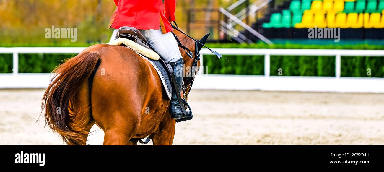 Sorrel Dressurpferd und Reiter in roter Uniform beim Springreiten. Reitsport Hintergrund. Chesnut Pferd Porträt während Stockfoto