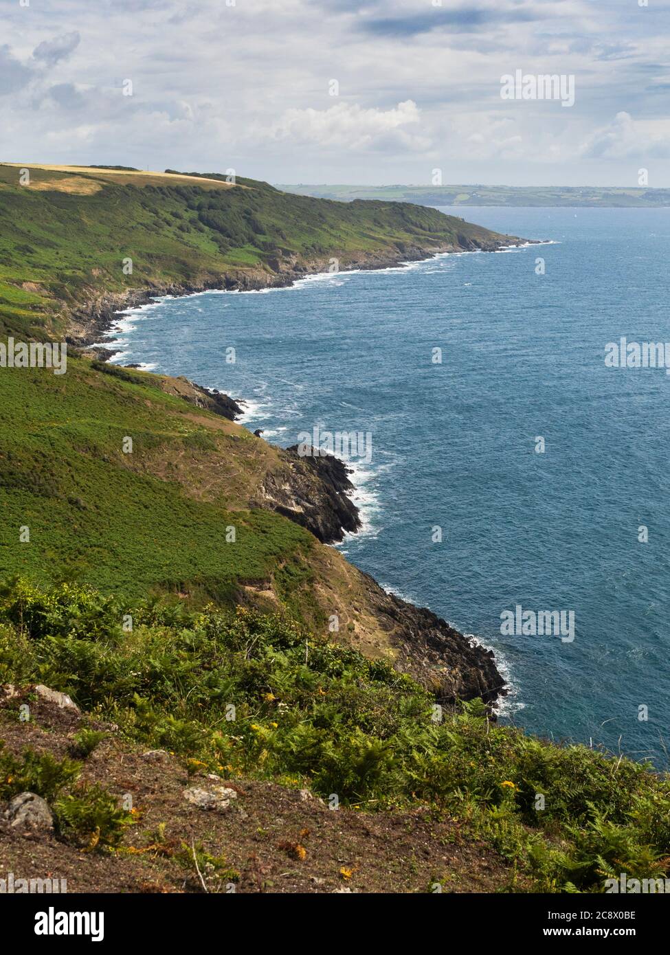 Die Rame Head Heritage Coast, ein Gebiet von außergewöhnlicher natürlicher Schönheit in South East Cornwall, Großbritannien Stockfoto