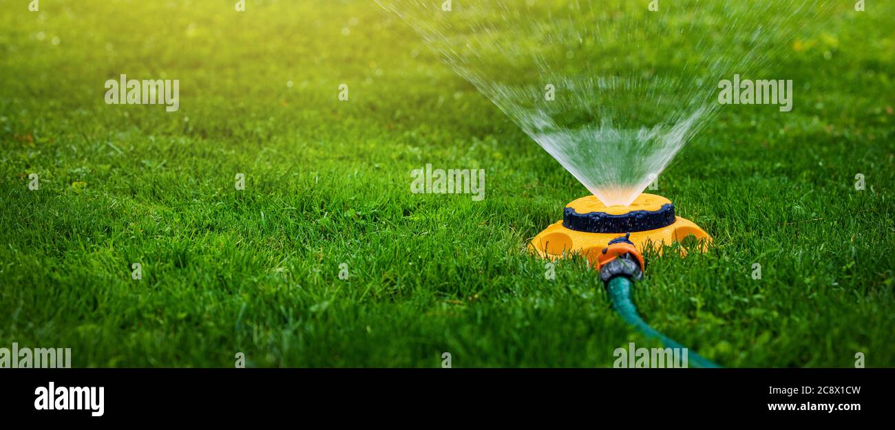 Gartengeräte - Wasser-Sprinkler Bewässerung Rasen zu Hause Hinterhof. Banner Copy Raum Stockfoto