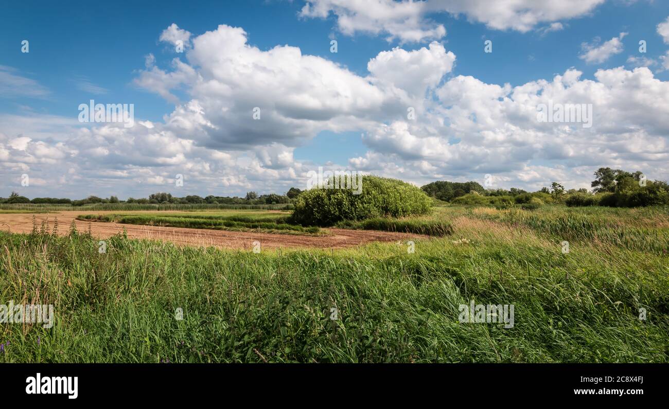 Ein landwirtschaftliches Feld in Belgien. Stockfoto